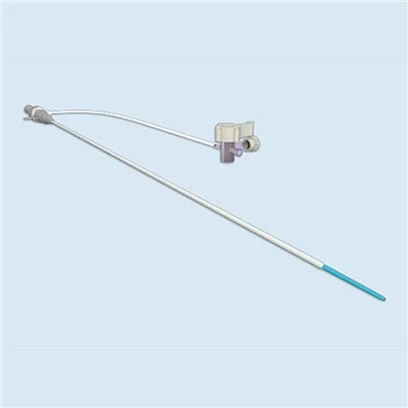 Kit Sheath Réamhrá Hydrophilic Gatha Femoral